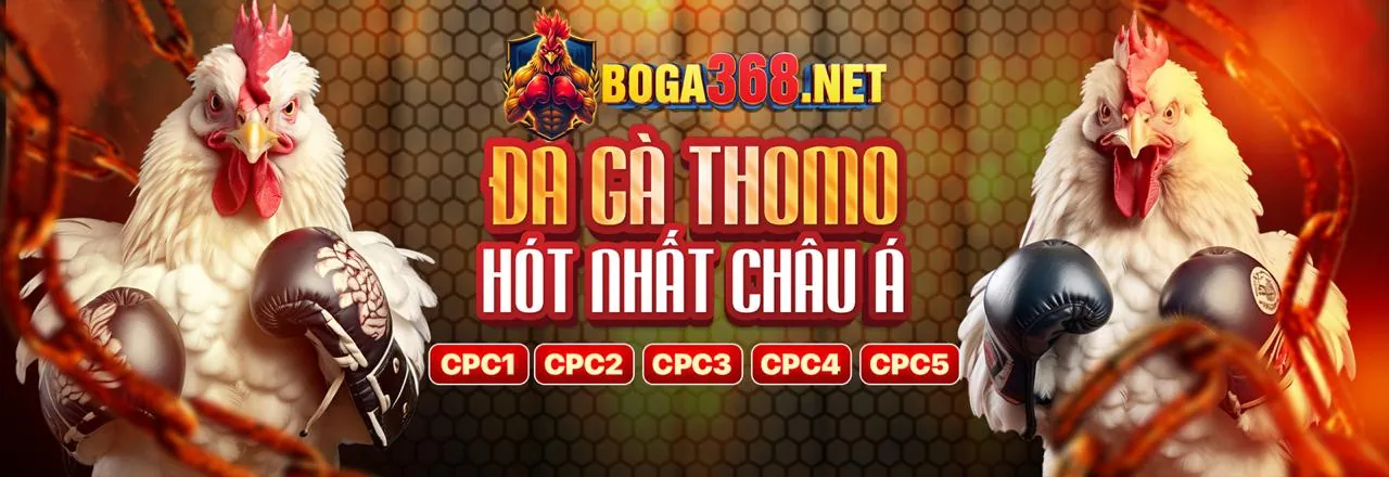 Hoàn Trả Thể Thao
